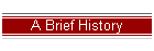 A Brief History